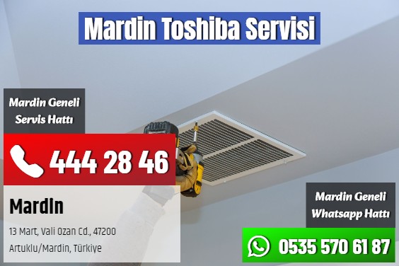 Mardin Toshiba Servisi