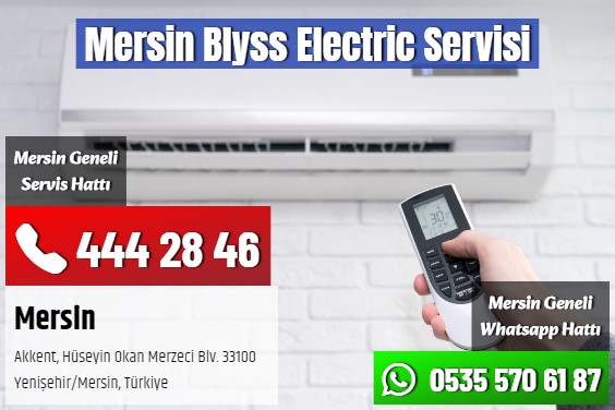 Mersin Blyss Electric Servisi