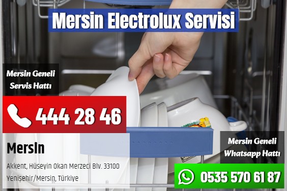 Mersin Electrolux Servisi