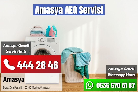 Amasya AEG Servisi