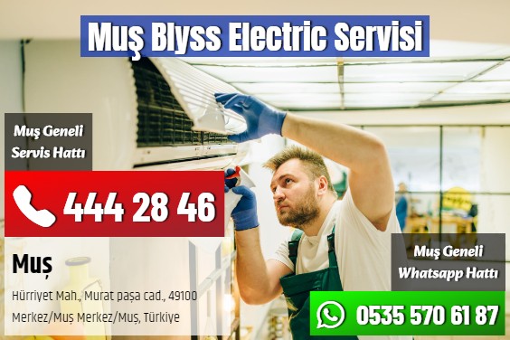 Muş Blyss Electric Servisi