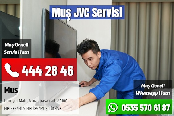 Muş JVC Servisi