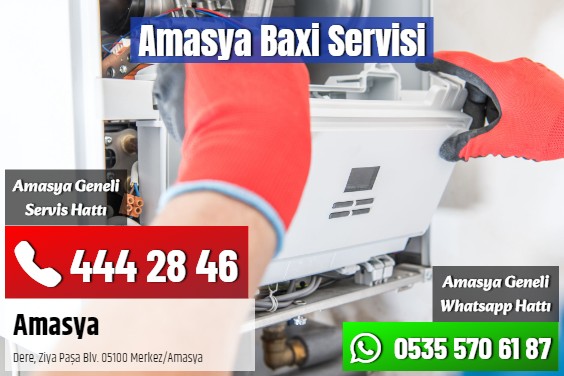 Amasya Baxi Servisi