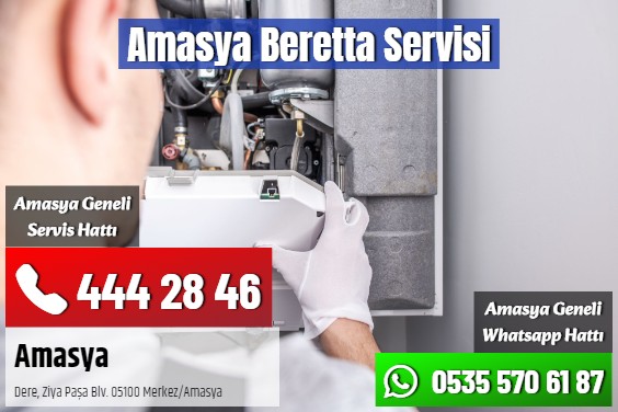 Amasya Beretta Servisi