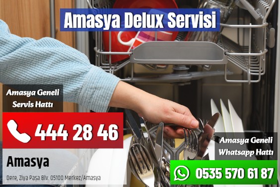 Amasya Delux Servisi