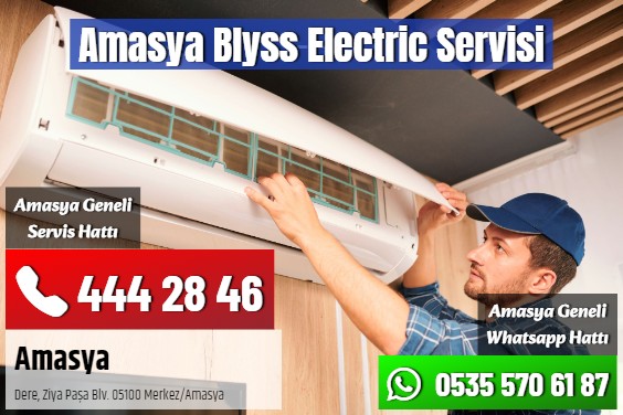 Amasya Blyss Electric Servisi