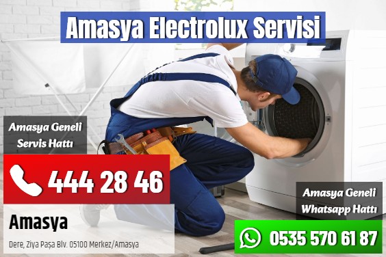 Amasya Electrolux Servisi