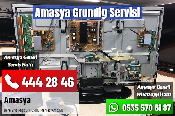 Amasya Grundig Servisi