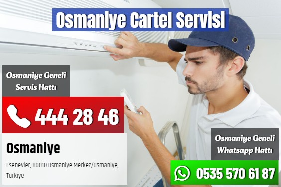 Osmaniye Cartel Servisi