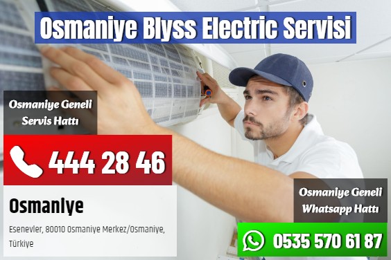 Osmaniye Blyss Electric Servisi