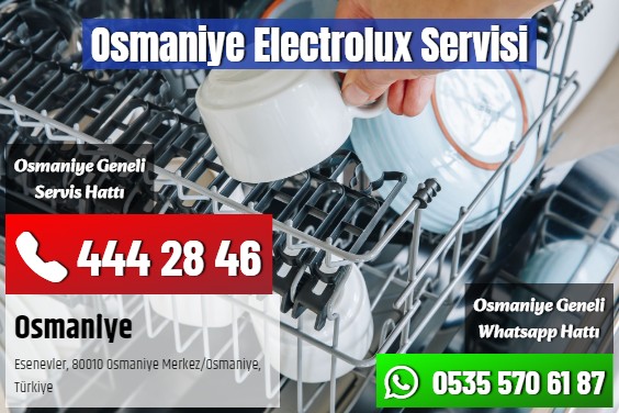 Osmaniye Electrolux Servisi