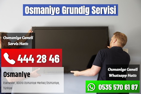 Osmaniye Grundig Servisi