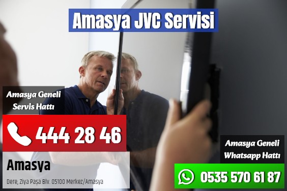 Amasya JVC Servisi