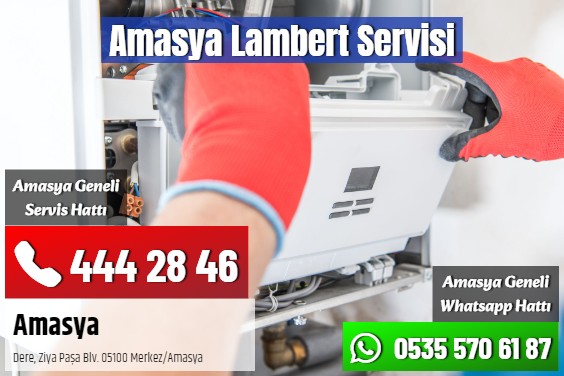 Amasya Lambert Servisi