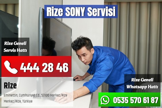 Rize SONY Servisi