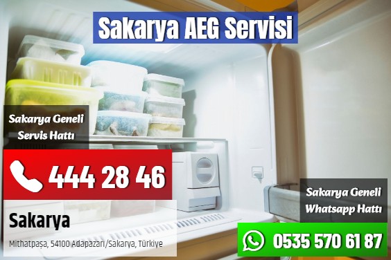 Sakarya AEG Servisi