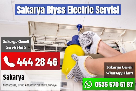 Sakarya Blyss Electric Servisi