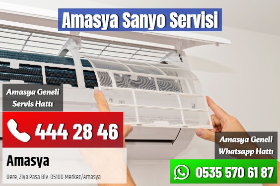 Amasya Sanyo Servisi