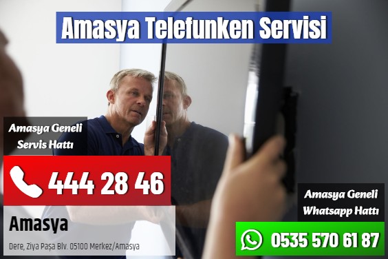 Amasya Telefunken Servisi