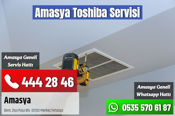 Amasya Toshiba Servisi