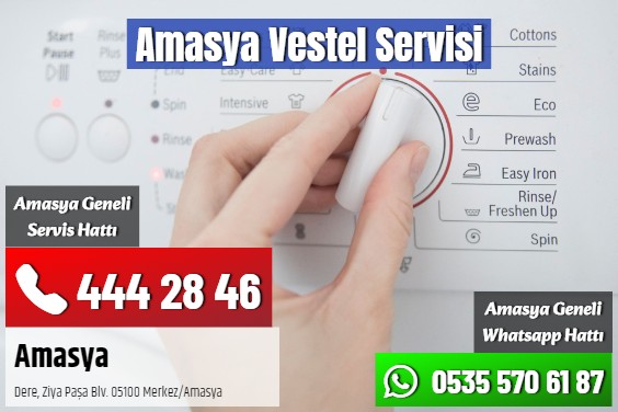 Amasya Vestel Servisi