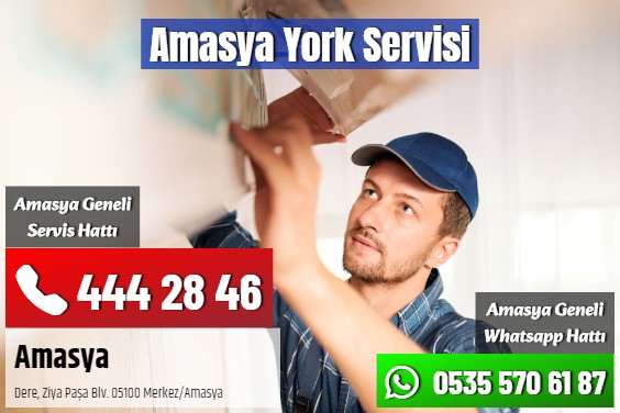 Amasya York Servisi