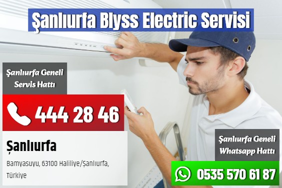 Şanlıurfa Blyss Electric Servisi
