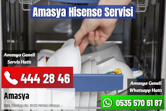 Amasya Hisense Servisi