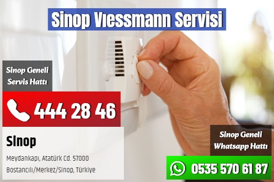 Sinop Vıessmann Servisi