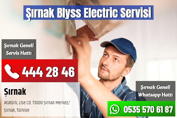 Şırnak Blyss Electric Servisi