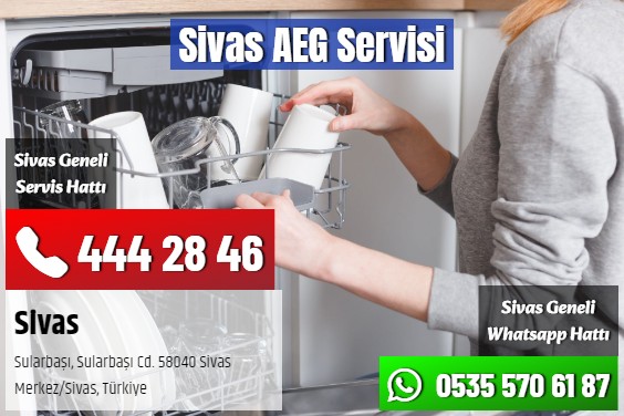 Sivas AEG Servisi