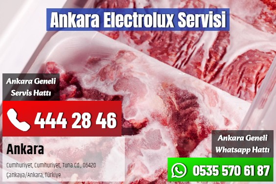 Ankara Electrolux Servisi