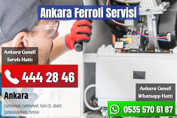 Ankara Ferroli Servisi
