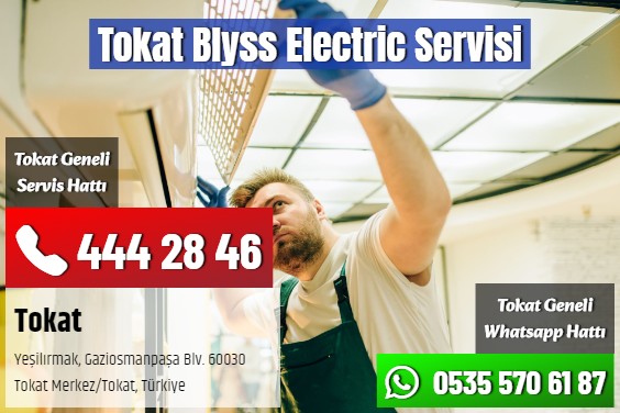 Tokat Blyss Electric Servisi
