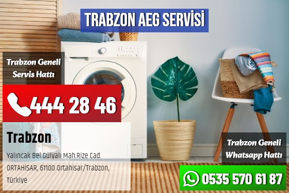 Trabzon AEG Servisi