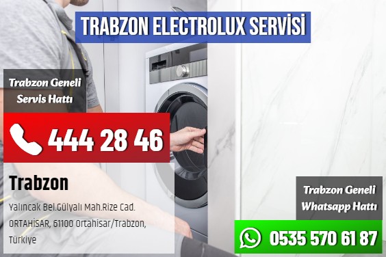 Trabzon Electrolux Servisi