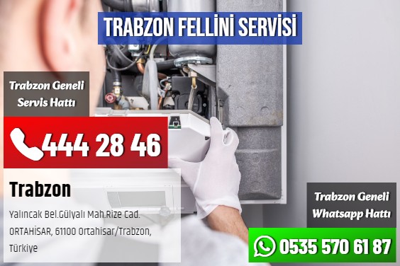 Trabzon Fellini Servisi