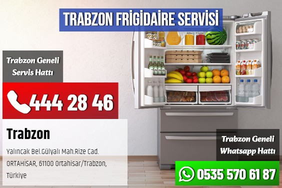 Trabzon Frigidaire Servisi