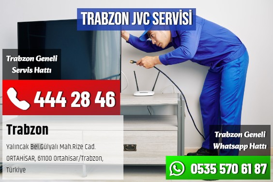 Trabzon JVC Servisi