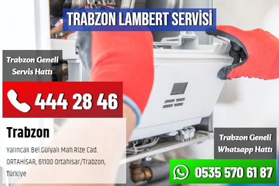 Trabzon Lambert Servisi