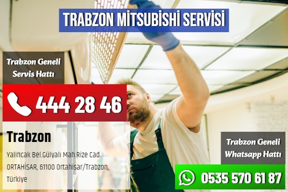 Trabzon Mitsubishi Servisi