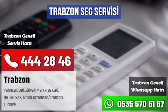 Trabzon SEG Servisi
