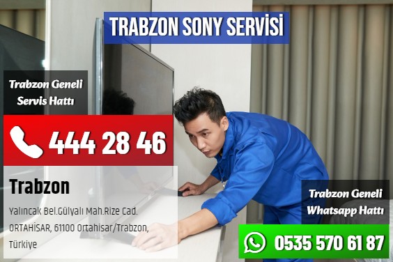 Trabzon SONY Servisi