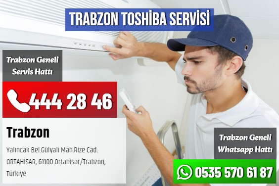Trabzon Toshiba Servisi