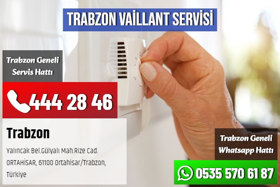 Trabzon Vaillant Servisi
