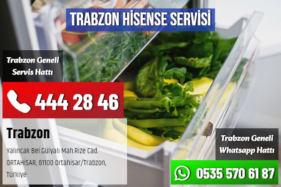 Trabzon Hisense Servisi