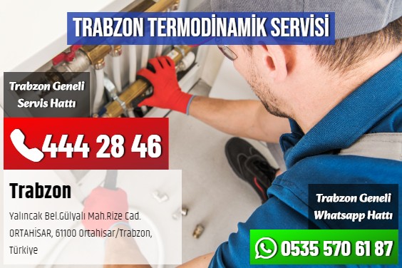 Trabzon Termodinamik Servisi