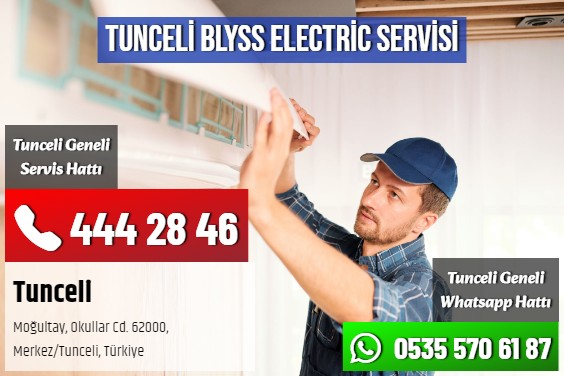 Tunceli Blyss Electric Servisi