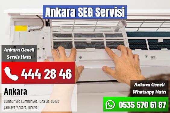 Ankara SEG Servisi