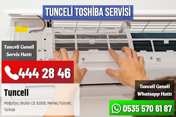 Tunceli Toshiba Servisi